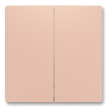 Zoni 6221T-A01010 242 Kryt dělený pro smart switch pudrová Zoni 6221T-A01010 242 Kryt dělený pro smart switch pudrová