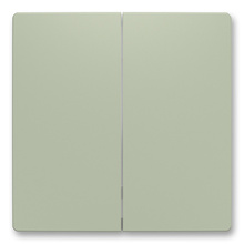 Zoni 6221T-A01010 243 Kryt dělený pro smart switch olivová Zoni 6221T-A01010 243 Kryt dělený pro smart switch olivová