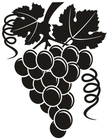 Vinařské potřeby