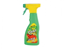 Fast K 250ml rozp.