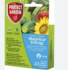 Magnicur Energy 15ml/SBM +