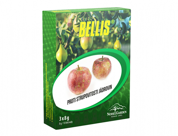 Bellis WG 3x8g 1